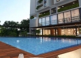 Five Star Garden (5)