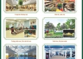 Cho thuê Chung cư Sky Central 176 Định Công (5)